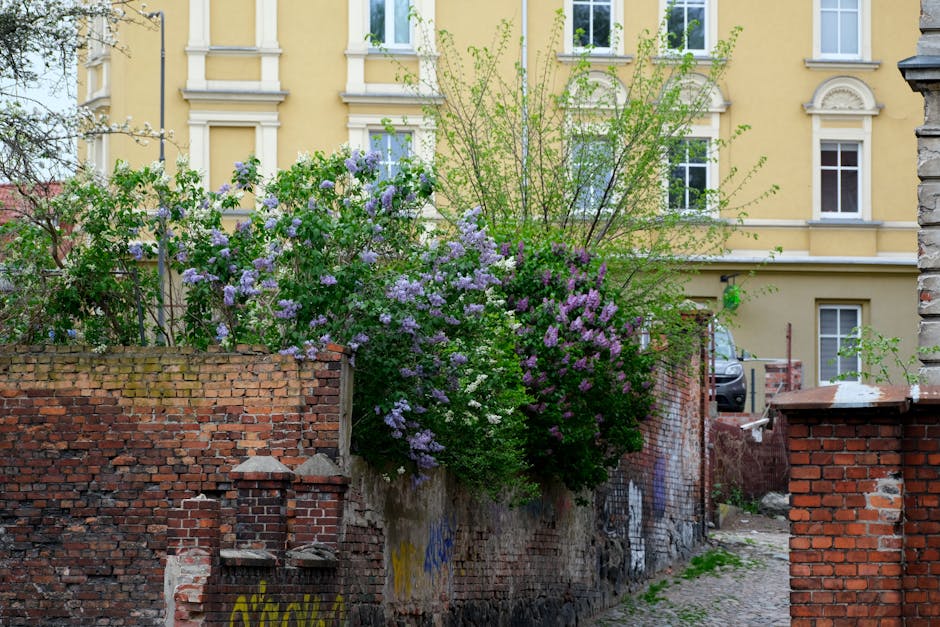 探索未來的駕馭：SUV 電動車的魅力與指引