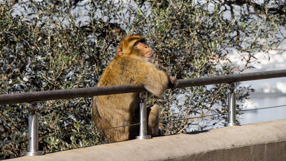 迷你倉的全面分析：深入了解迷你倉的價值與挑戰